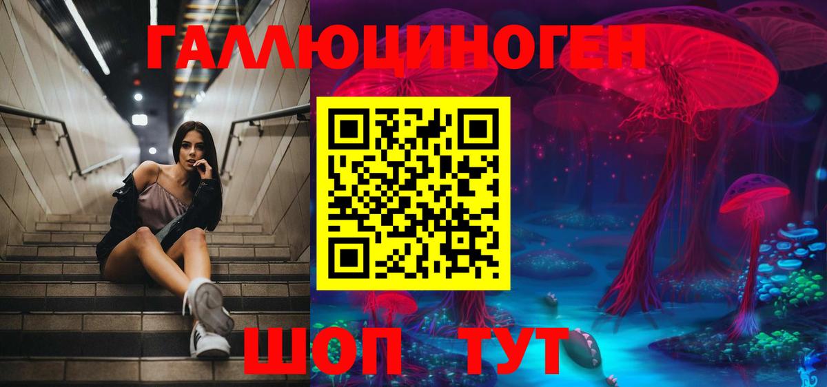 Псилоцибиновые грибы прущие грибы Орехово-Зуево