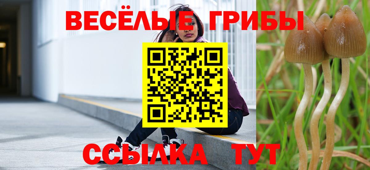 Орехово-Зуево  Галлюциногенные грибы мухоморы  Вход с VPN 